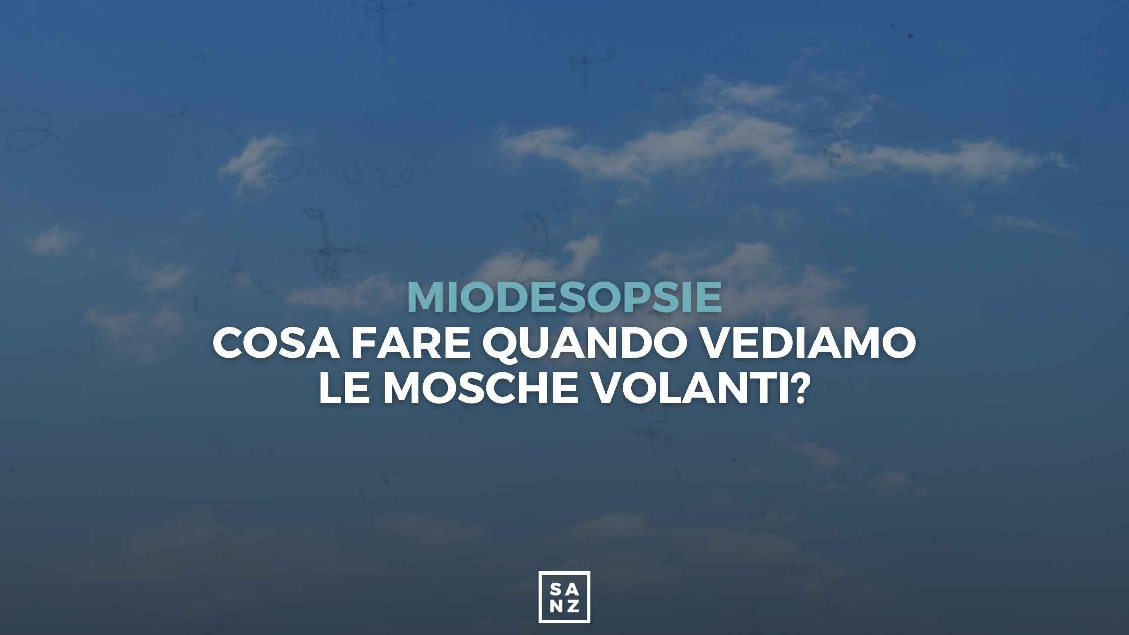 Miodesopsie, cosa fare quando vediamo le mosche volanti?